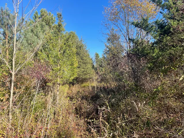 $150,000 | 104th Avenue, Grand Junction, MI 49056