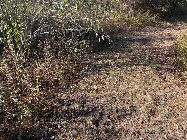 $150,000 | 104th Avenue, Grand Junction, MI 49056