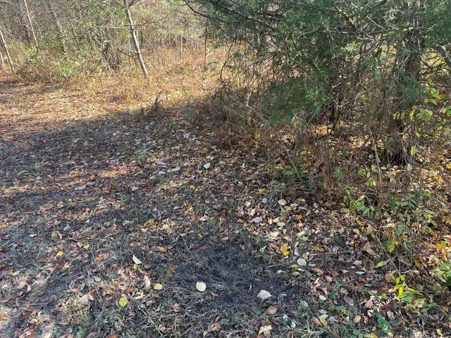 $150,000 | 104th Avenue, Grand Junction, MI 49056