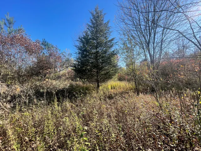 $150,000 | 104th Avenue, Grand Junction, MI 49056