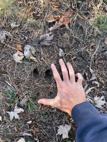 $150,000 | 104th Avenue, Grand Junction, MI 49056