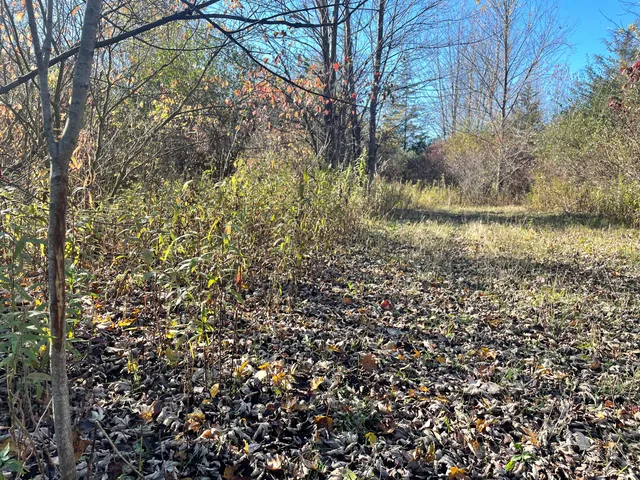 $150,000 | 104th Avenue, Grand Junction, MI 49056