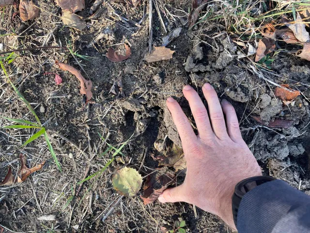 $150,000 | 104th Avenue, Grand Junction, MI 49056