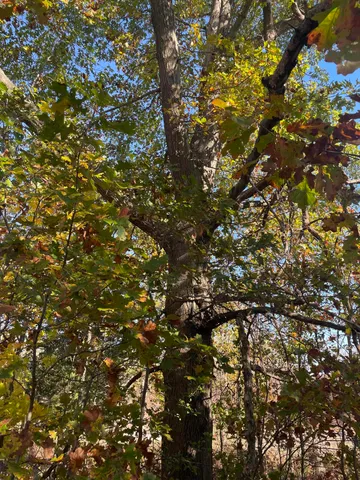 $150,000 | 104th Avenue, Grand Junction, MI 49056