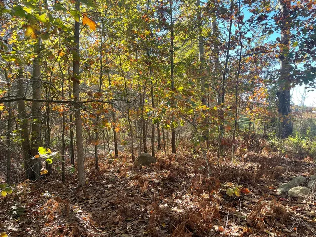 $150,000 | 104th Avenue, Grand Junction, MI 49056