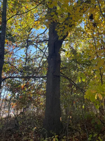 $150,000 | 104th Avenue, Grand Junction, MI 49056