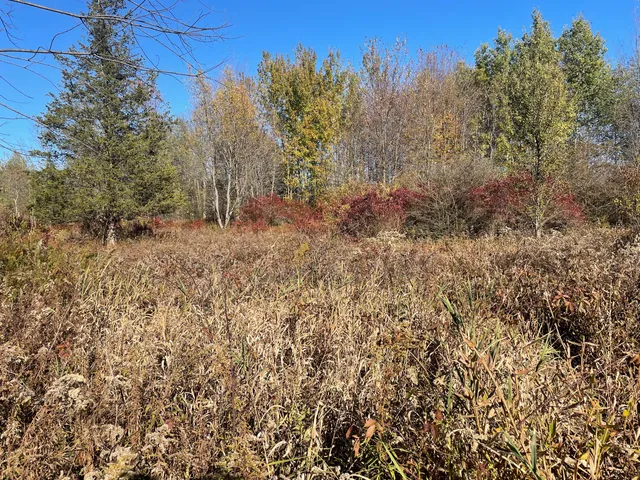 $150,000 | 104th Avenue, Grand Junction, MI 49056