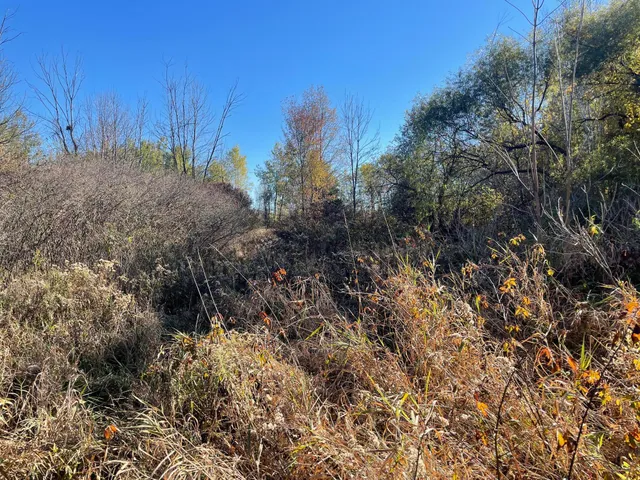 $150,000 | 104th Avenue, Grand Junction, MI 49056