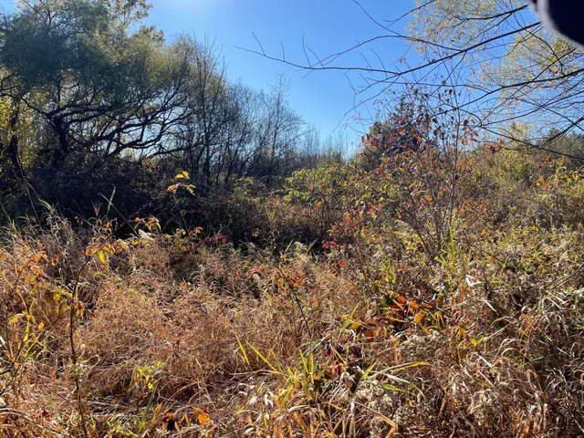 $150,000 | 104th Avenue, Grand Junction, MI 49056