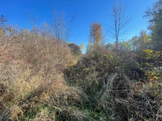 $150,000 | 104th Avenue, Grand Junction, MI 49056