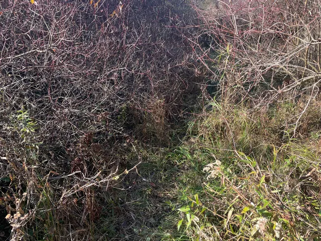 $150,000 | 104th Avenue, Grand Junction, MI 49056