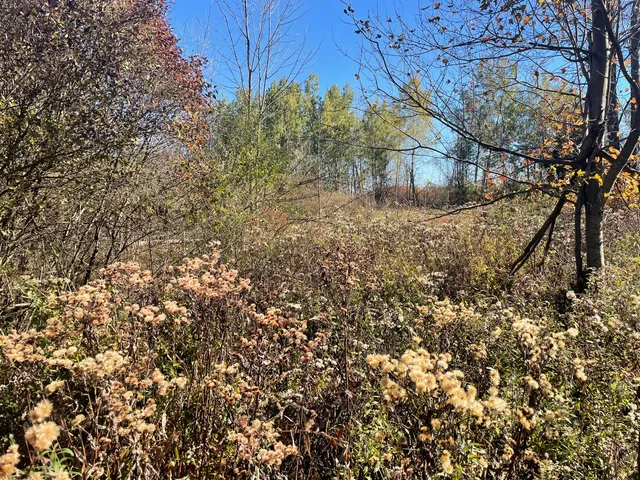 $150,000 | 104th Avenue, Grand Junction, MI 49056