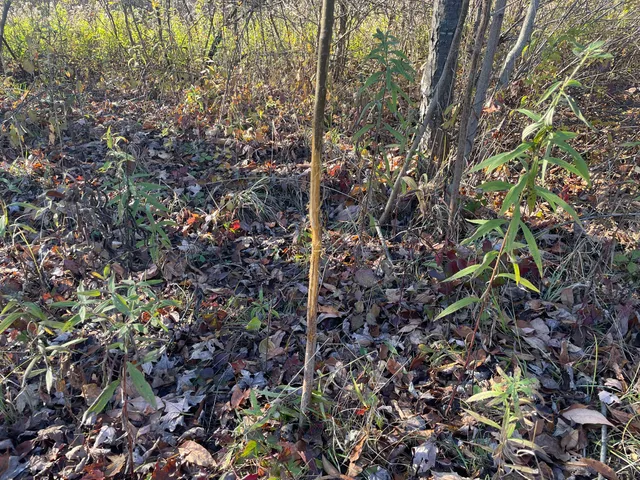 $150,000 | 104th Avenue, Grand Junction, MI 49056