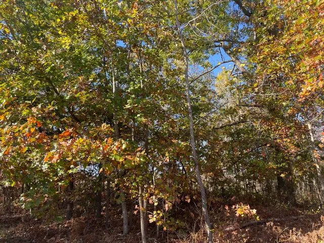 $150,000 | 104th Avenue, Grand Junction, MI 49056