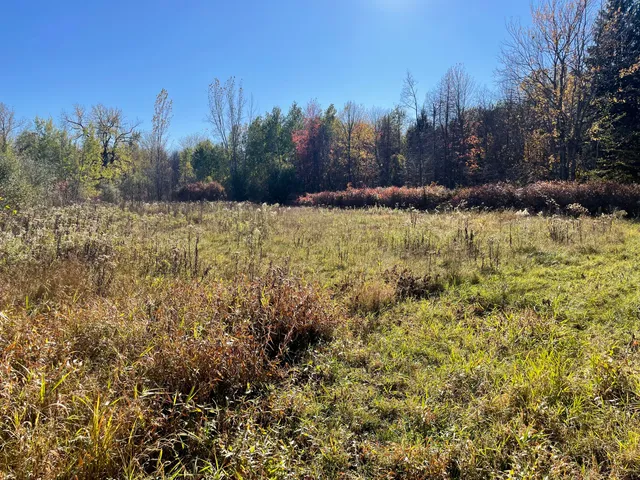 $150,000 | 104th Avenue, Grand Junction, MI 49056