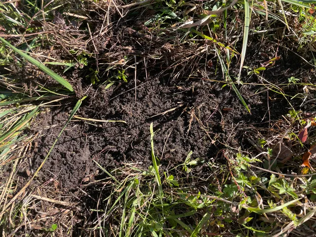 $150,000 | 104th Avenue, Grand Junction, MI 49056