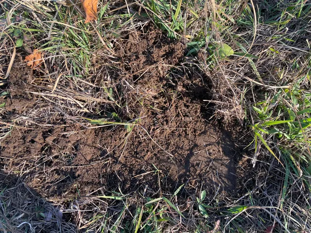 $150,000 | 104th Avenue, Grand Junction, MI 49056