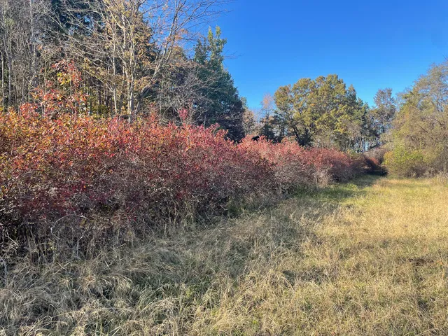 $150,000 | 104th Avenue, Grand Junction, MI 49056