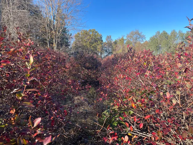 $150,000 | 104th Avenue, Grand Junction, MI 49056