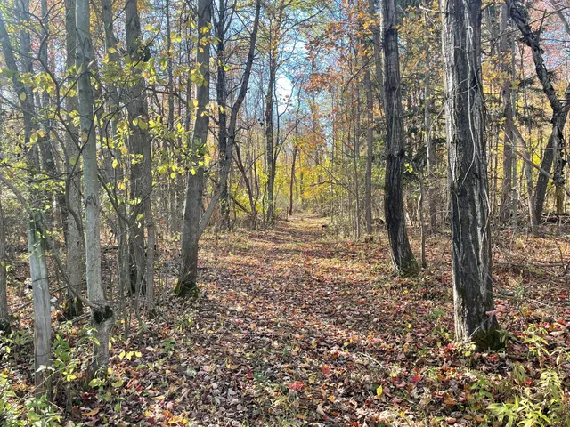 $150,000 | 104th Avenue, Grand Junction, MI 49056