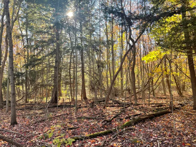 $150,000 | 104th Avenue, Grand Junction, MI 49056