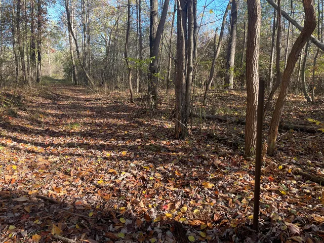 $150,000 | 104th Avenue, Grand Junction, MI 49056