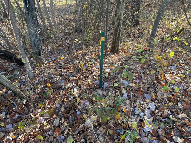 $150,000 | 104th Avenue, Grand Junction, MI 49056