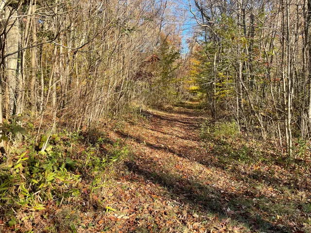 $150,000 | 104th Avenue, Grand Junction, MI 49056