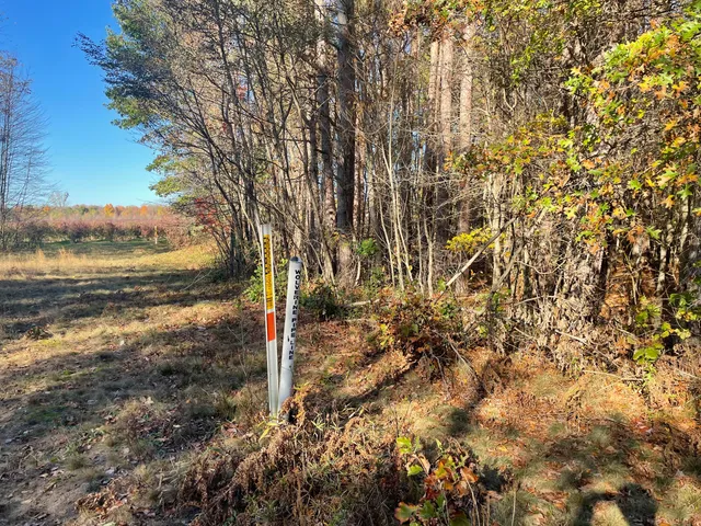 $150,000 | 104th Avenue, Grand Junction, MI 49056