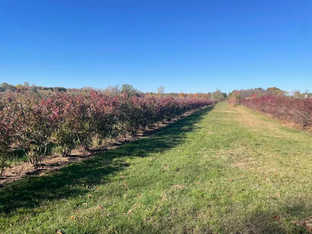 $150,000 | 104th Avenue, Grand Junction, MI 49056