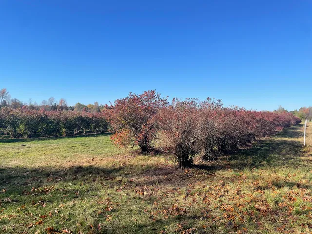 $150,000 | 104th Avenue, Grand Junction, MI 49056