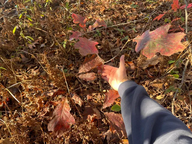 $150,000 | 104th Avenue, Grand Junction, MI 49056