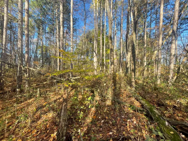 $150,000 | 104th Avenue, Grand Junction, MI 49056