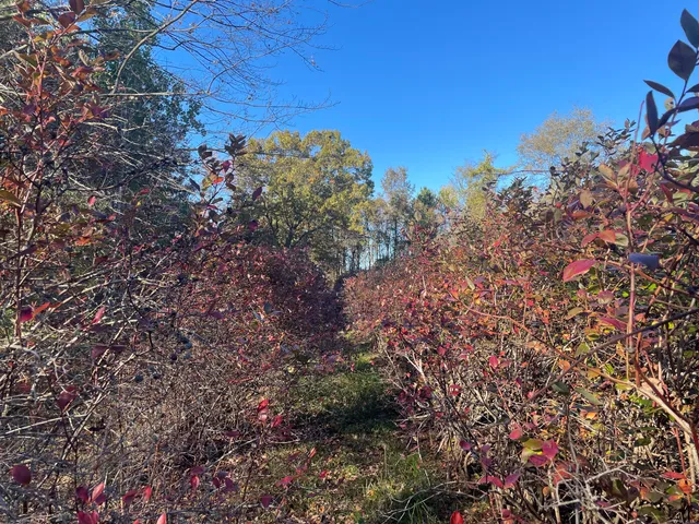 $150,000 | 104th Avenue, Grand Junction, MI 49056