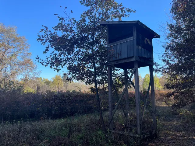 $150,000 | 104th Avenue, Grand Junction, MI 49056