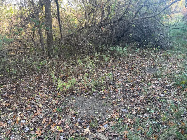 $150,000 | 104th Avenue, Grand Junction, MI 49056