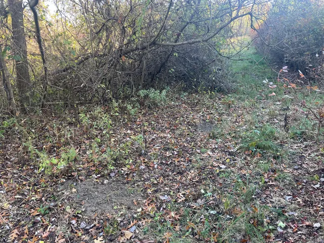 $150,000 | 104th Avenue, Grand Junction, MI 49056