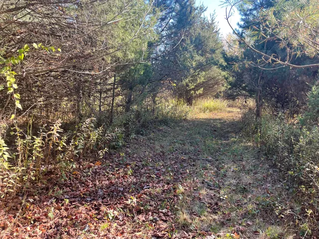 $150,000 | 104th Avenue, Grand Junction, MI 49056