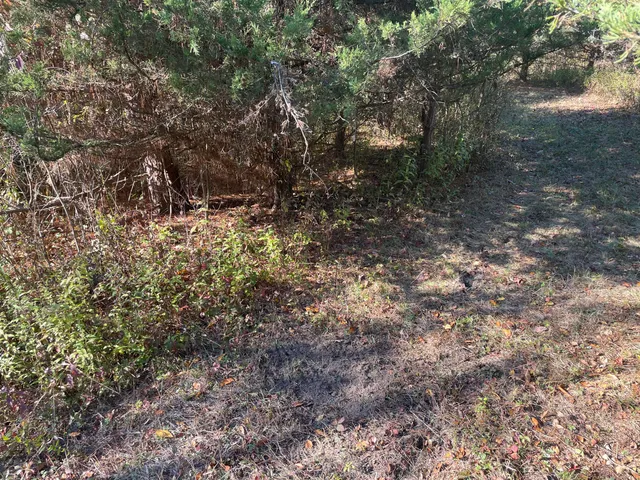 $150,000 | 104th Avenue, Grand Junction, MI 49056