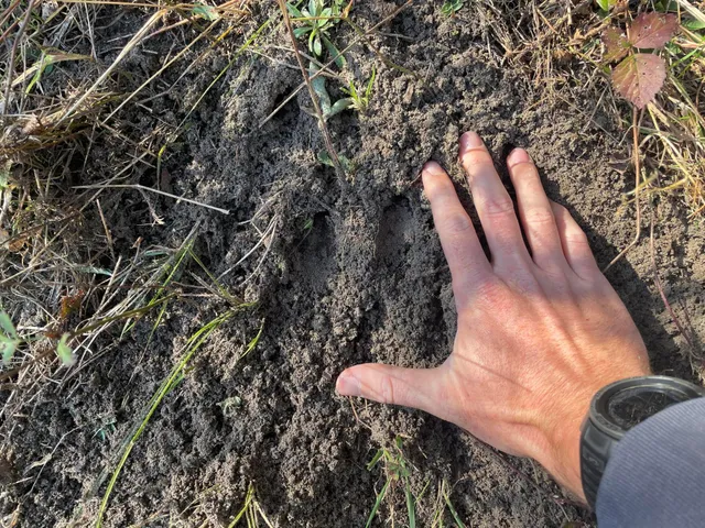 $150,000 | 104th Avenue, Grand Junction, MI 49056