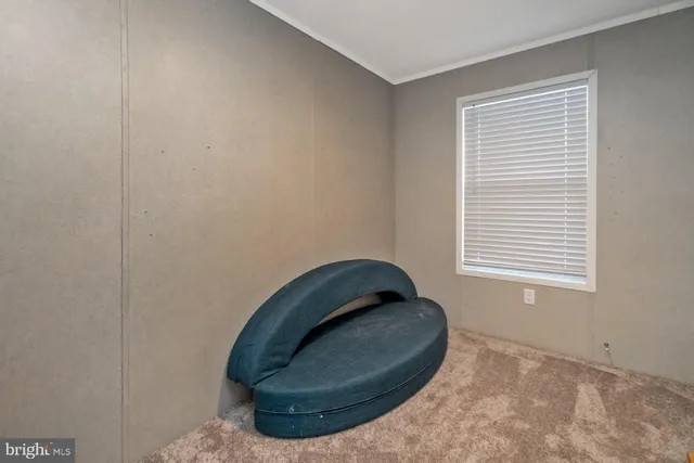 a view of a livingroom with a chair and a window