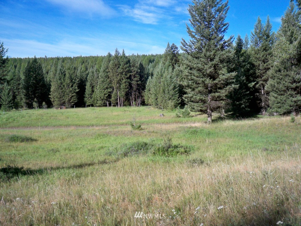 280 Pontiac Ridge Road Oroville, WA 98844 - Photo 1 of 1
