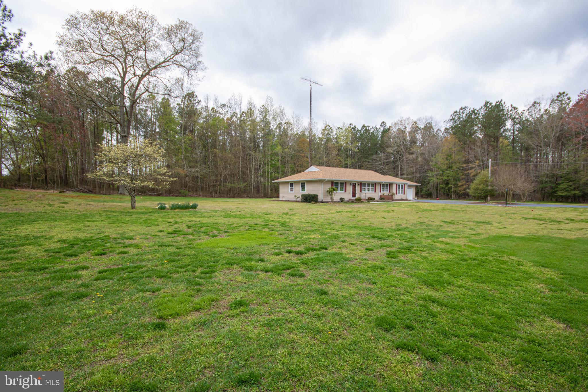 3778 Union Church Road Salisbury, MD 21804 - Photo 5 of 42 Gallery Image 5