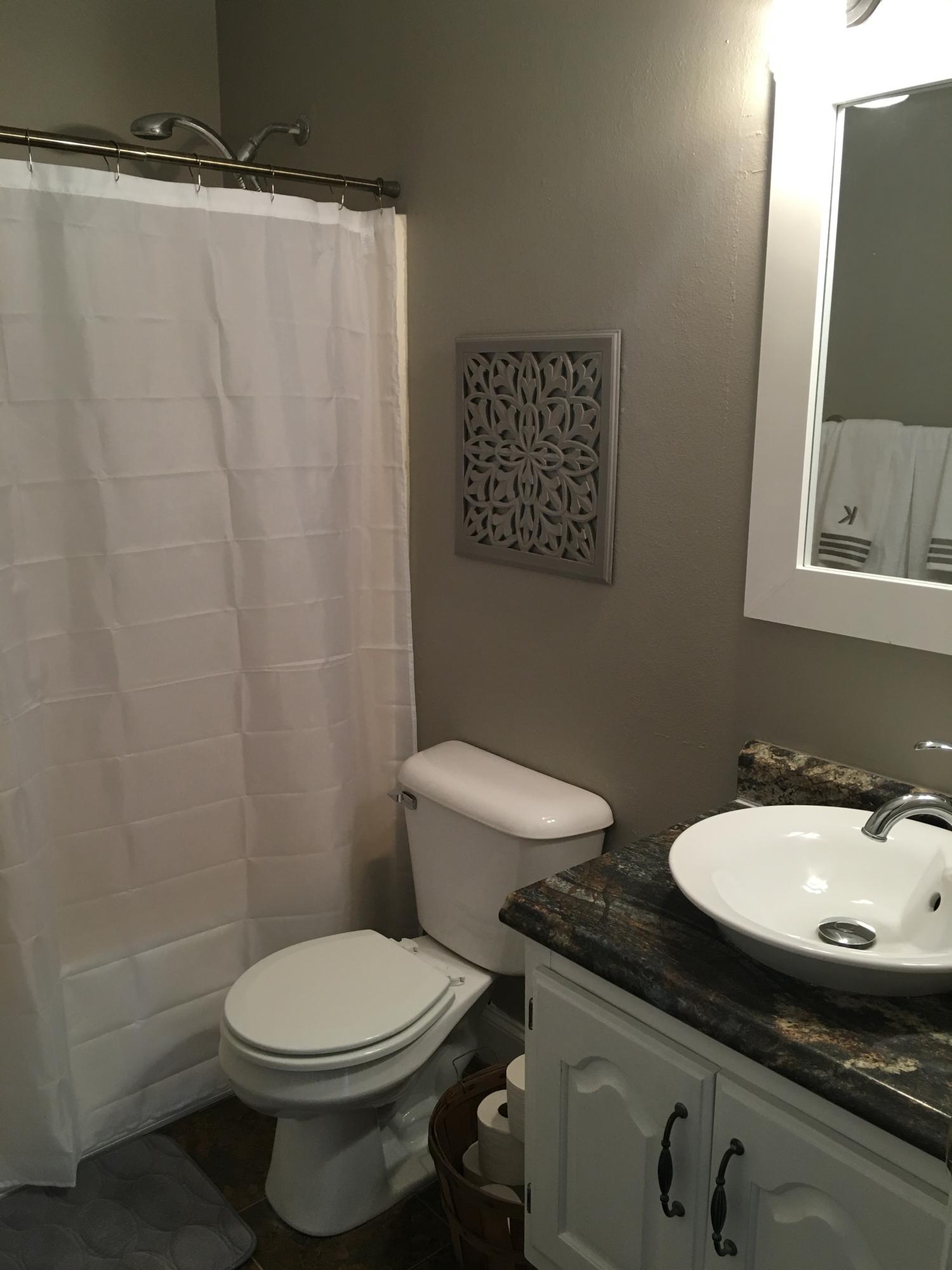 258 Highwater Road Soddy Daisy, TN 37379 - Photo 12 of 17 Downstairs Full Bath