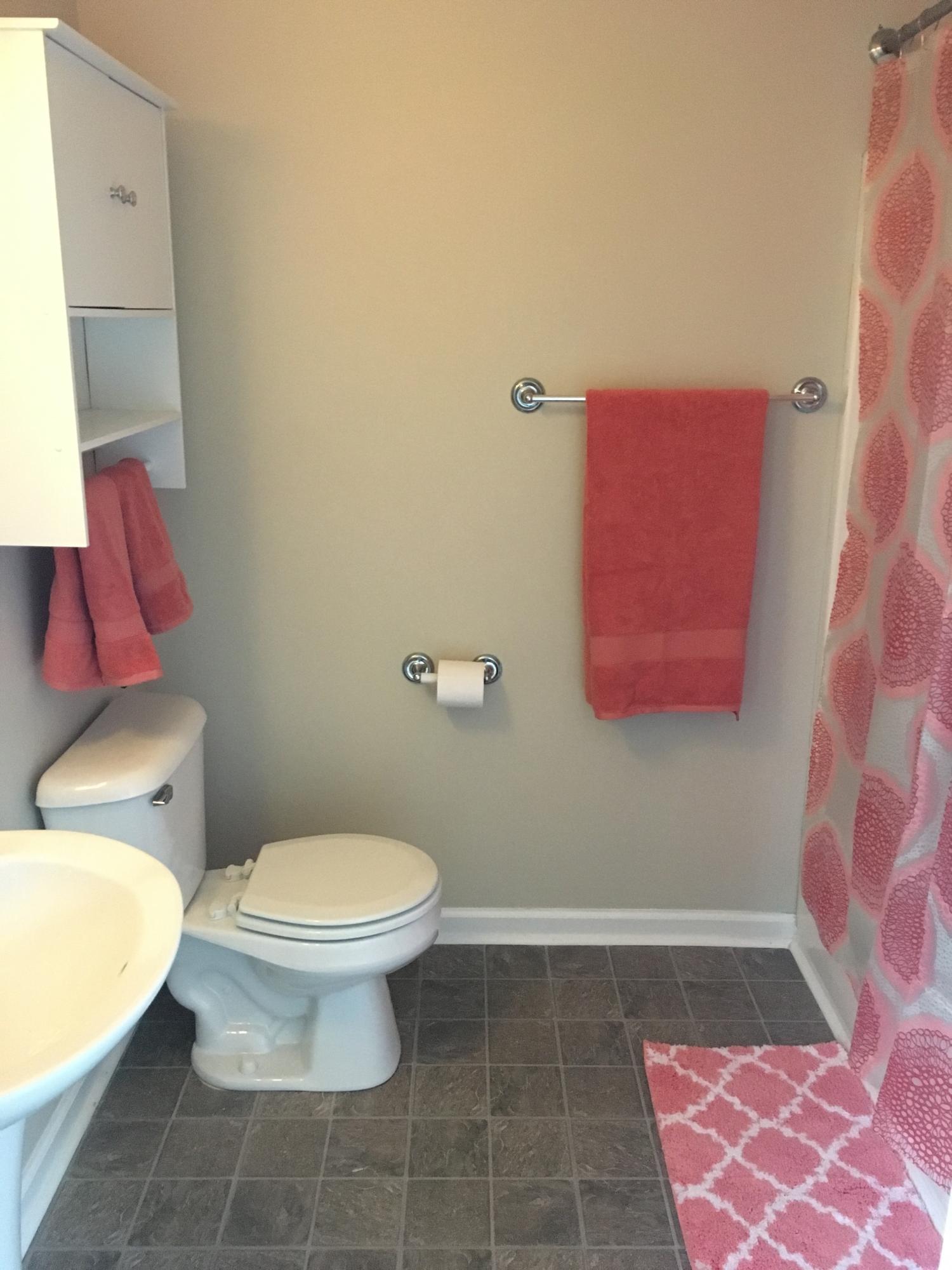 258 Highwater Road Soddy Daisy, TN 37379 - Photo 15 of 17 Master Bath