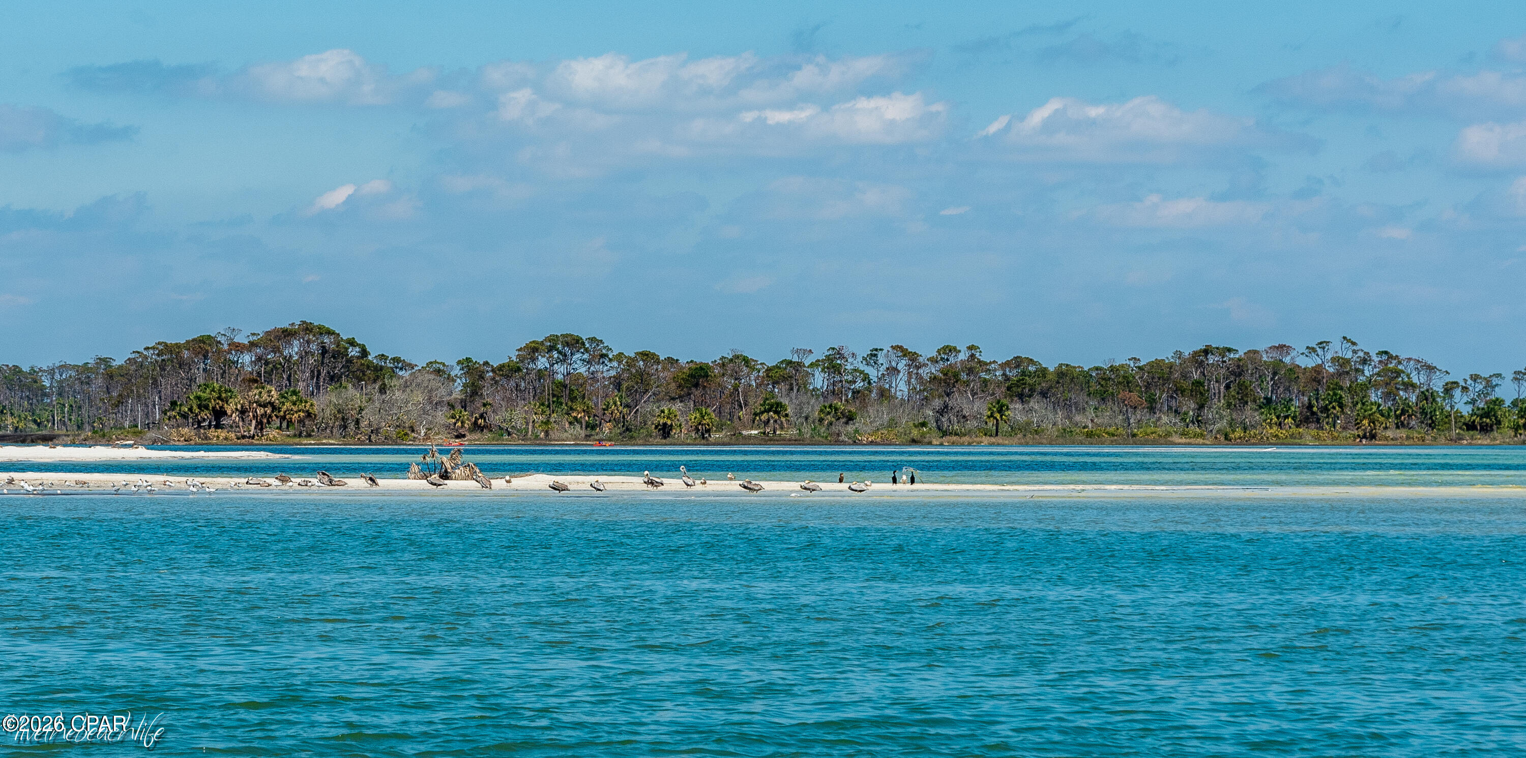 3629 Cape San Blas Road Port St. Joe, FL 32456 - Photo 13 of 20