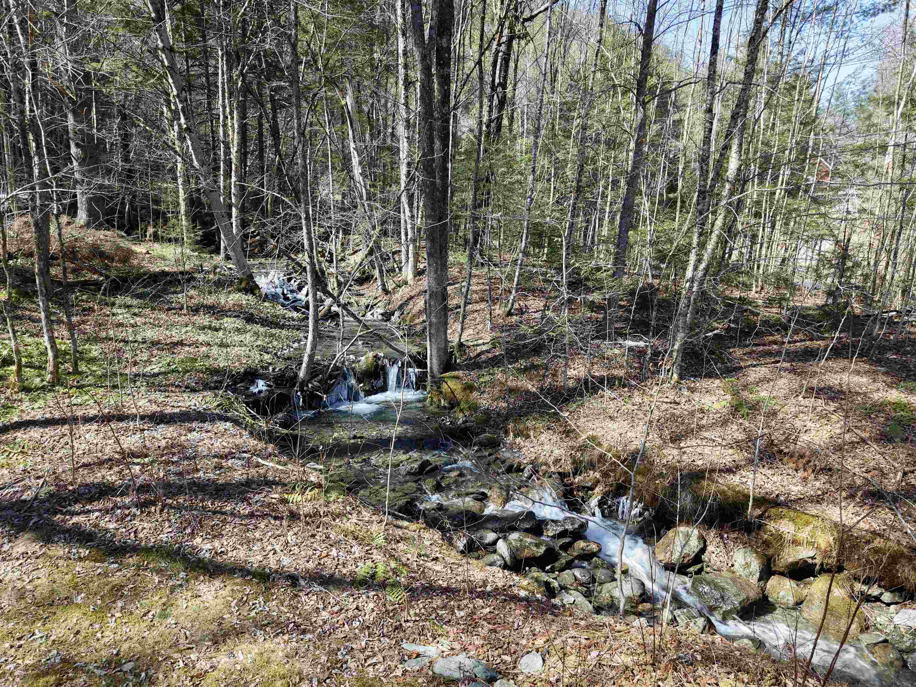 2362 Vermont Rte 100 Hancock, VT 05748 - Photo 13 of 56