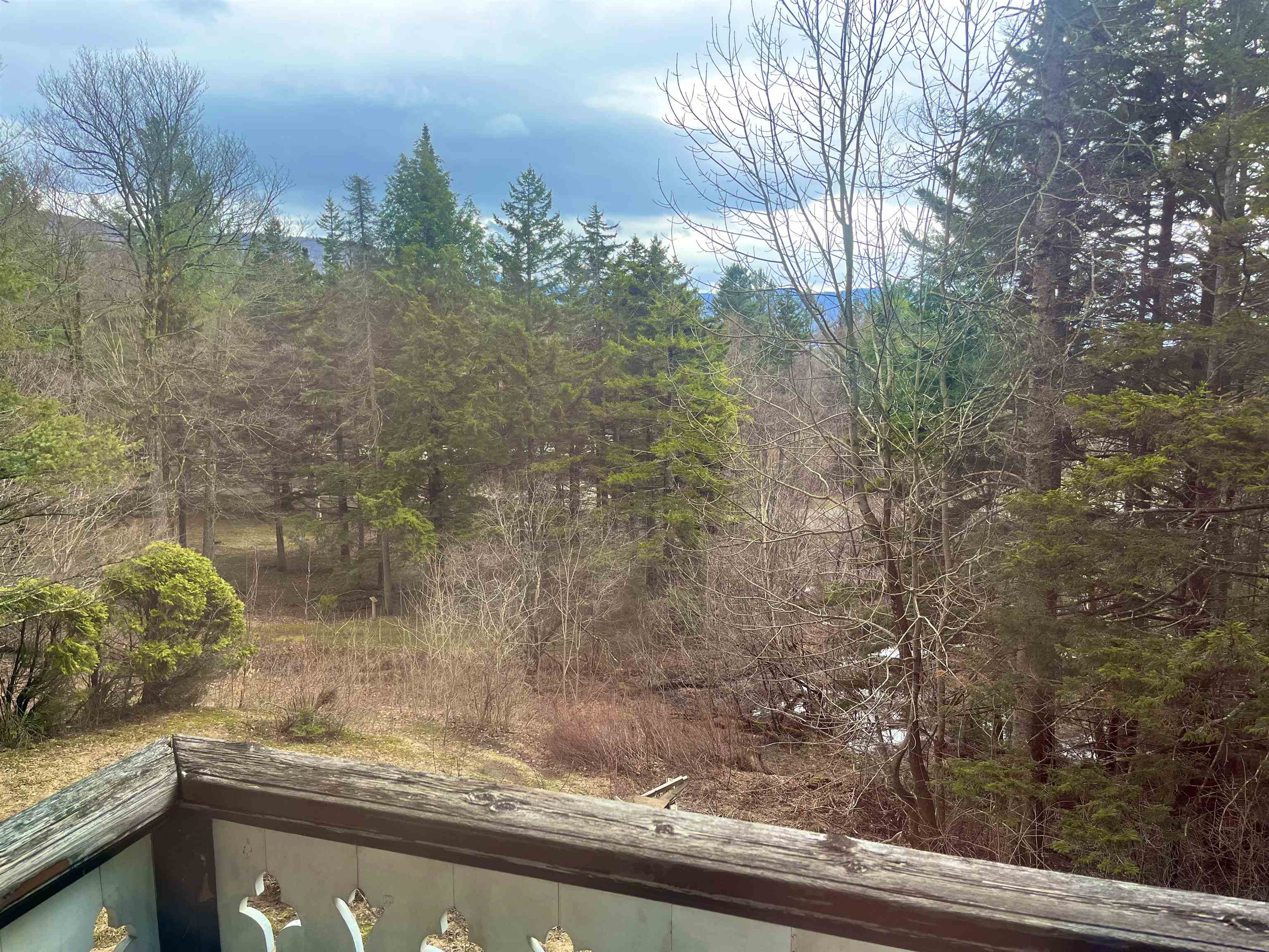 69 Park Street, Unit ALPINE HAVEN Rutland, VT 05701 - Photo 9 of 9