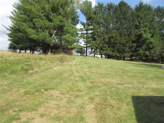 a view of a field with a tree