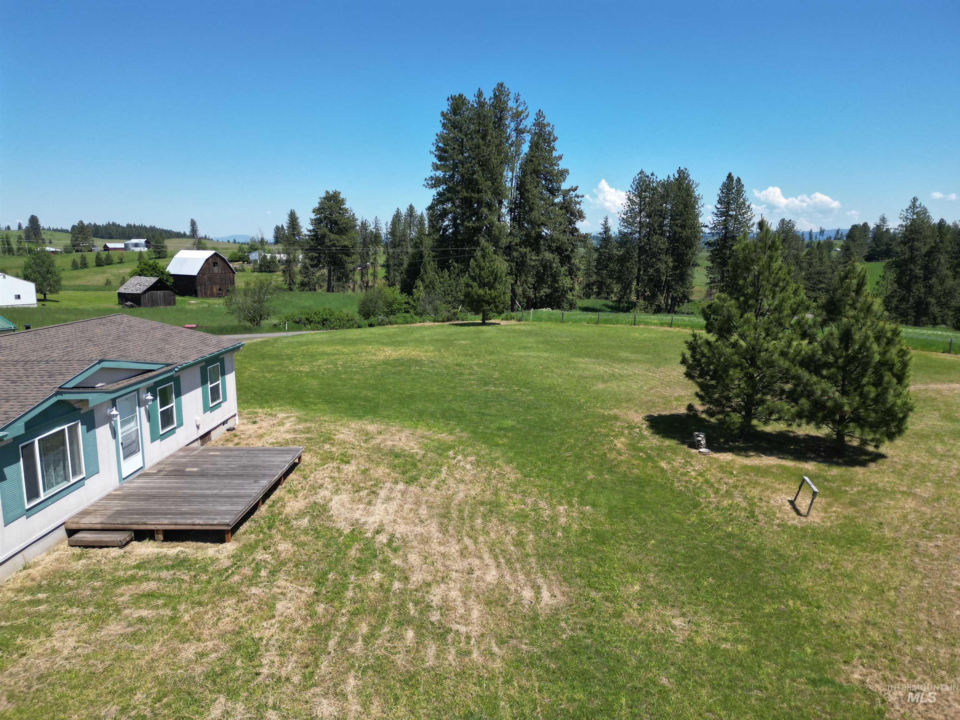 135 Harrisburg Road Kamiah, ID 83536 - Photo 30 of 41 Expansive grassy grounds featuring mature evergreen trees and a timber deck